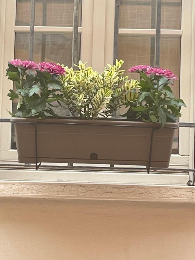 Cuor Di Mantova B&B Εξωτερικό φωτογραφία